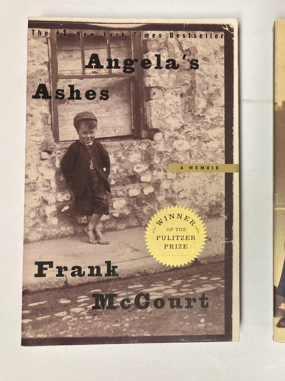 Angela's Ashes & 'Tis Book Bundle - 2 Books
